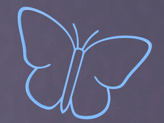 butterfly