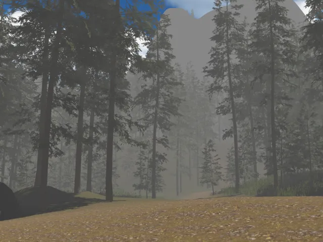 Forest 1