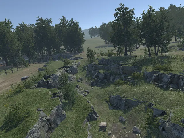 Meadow （NM）