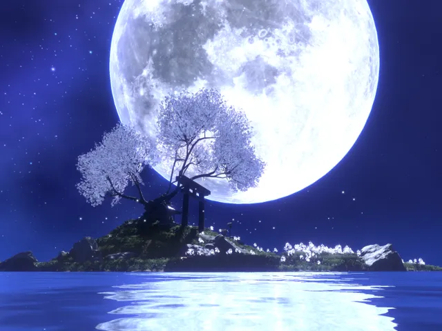 静謐に沈む月光