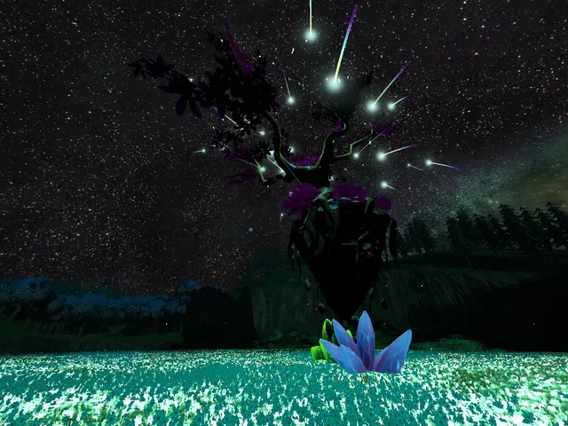 Aurora Nights