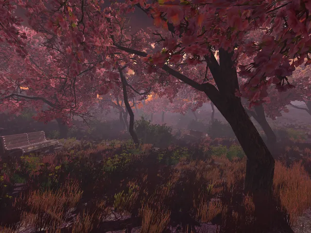 Sakura Forrest - WIP