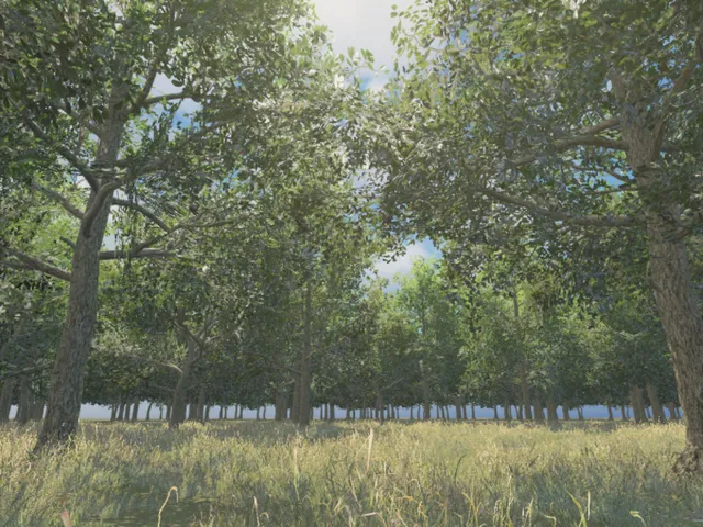 Simple Forest
