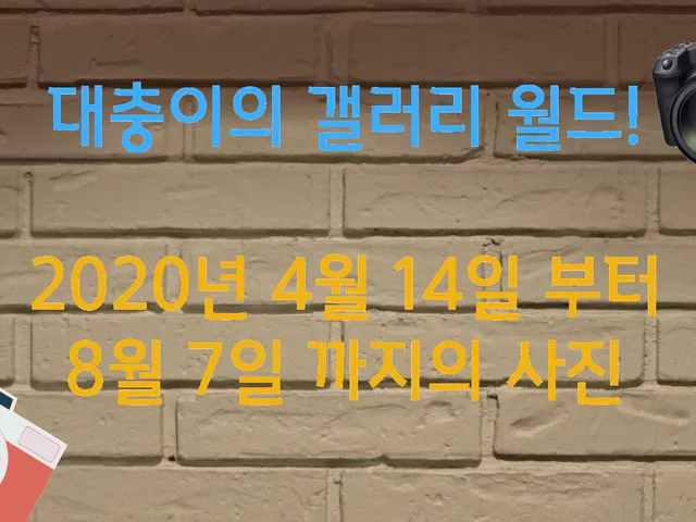 대충이의 갤러리 월드ǃǃ
