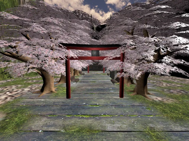 Cherry blossoms way