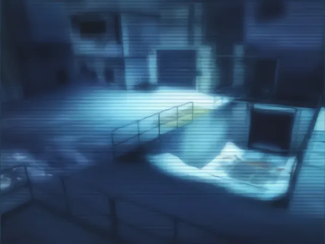 Deima Surface Bridge