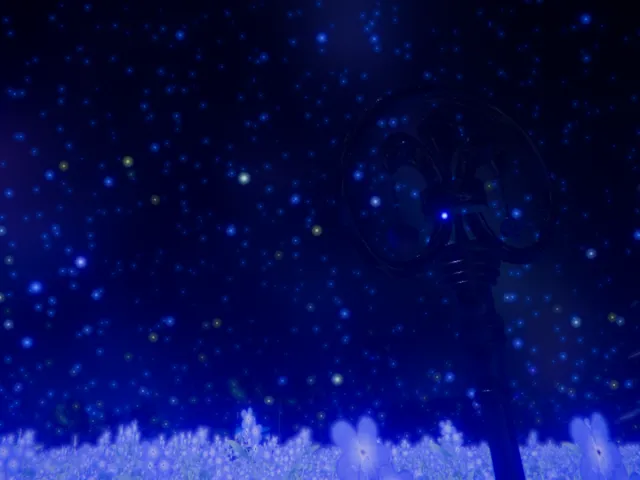 心の世界