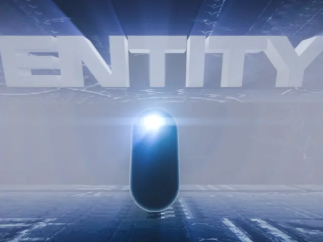 Space Thing 2˸ ENTITY