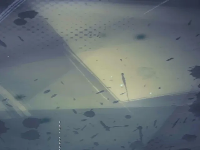 Dragon Ball Legends PNG