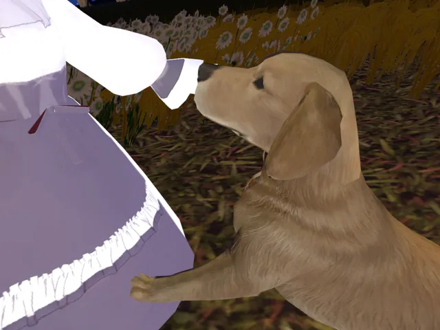 Story of the Star tour ～星巡りの物語～