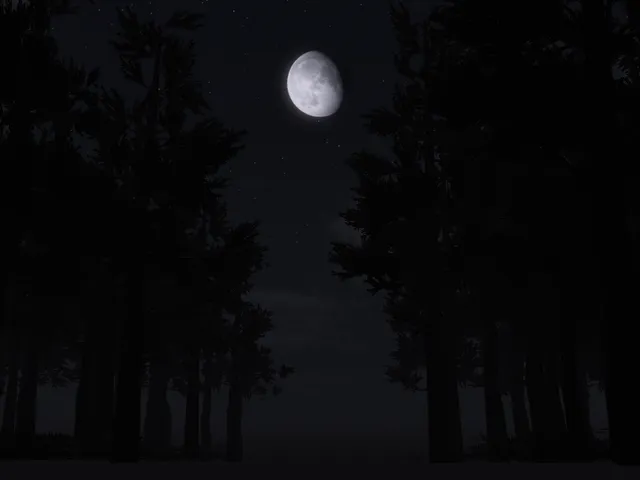 月森 3 - Moon forest 3