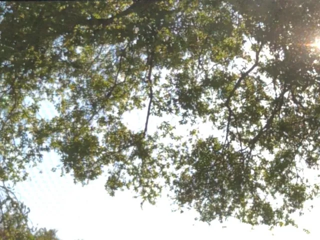 ［kwons awsome avi world］v2