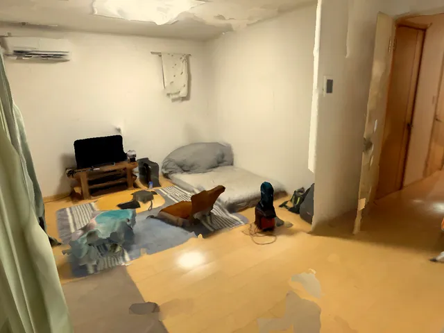 RintelHouse