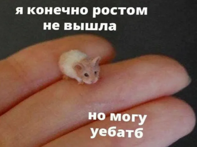 Кусь