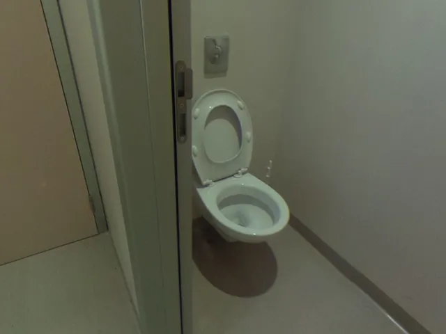Hospital Bathroom