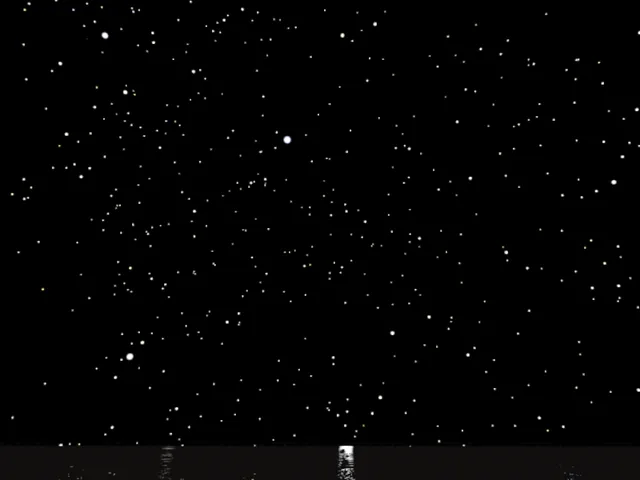 real stars⁄speed loader