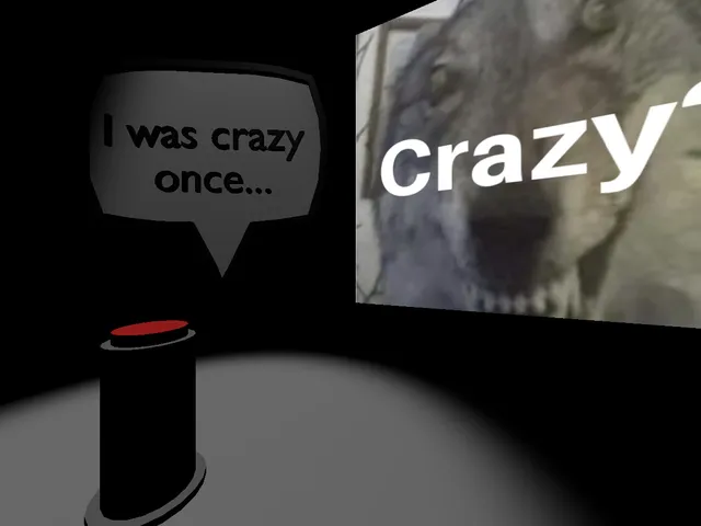 i WaS CrAzY OnCe