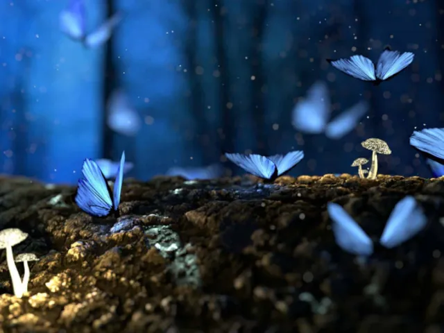 Moonlit Wanderings PC