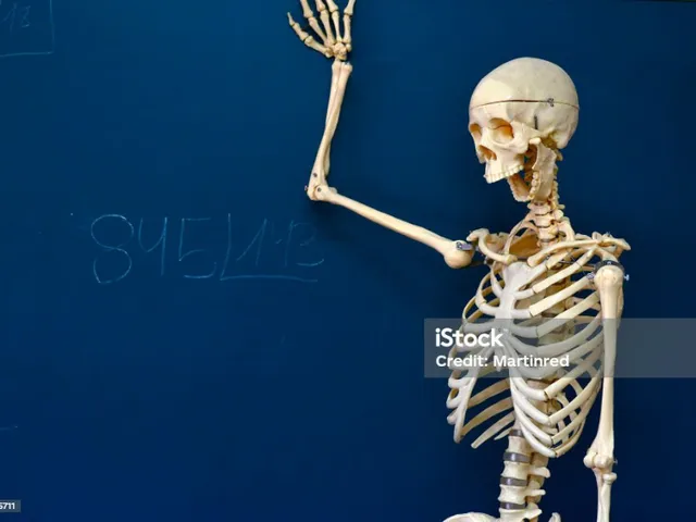 bone game