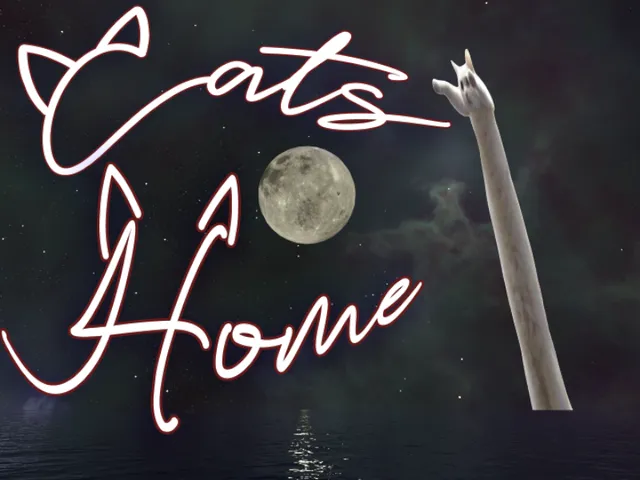 キャッツハウス