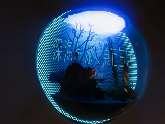 深海を泳ぐ魚たちは雨の音を知らない