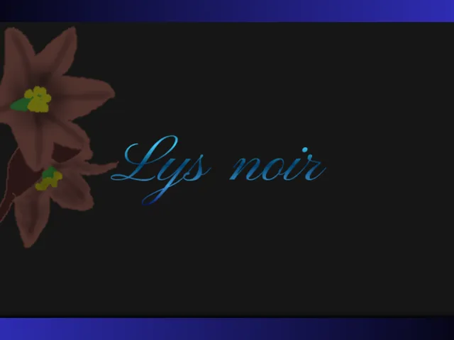 Bar Lys noir