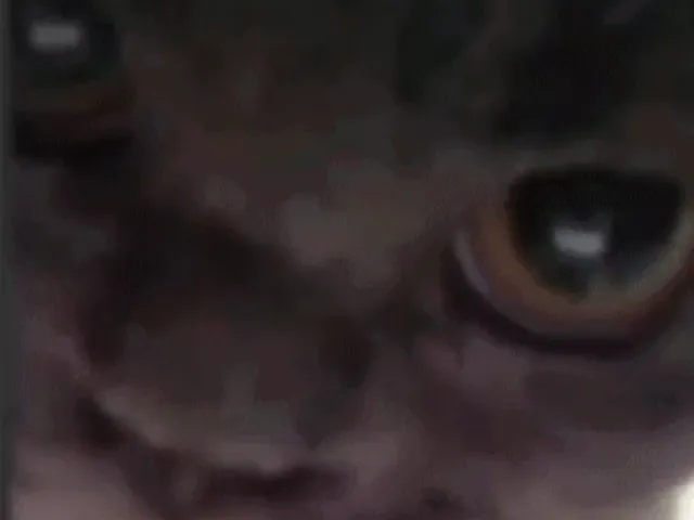 Experimental Box ZepSky