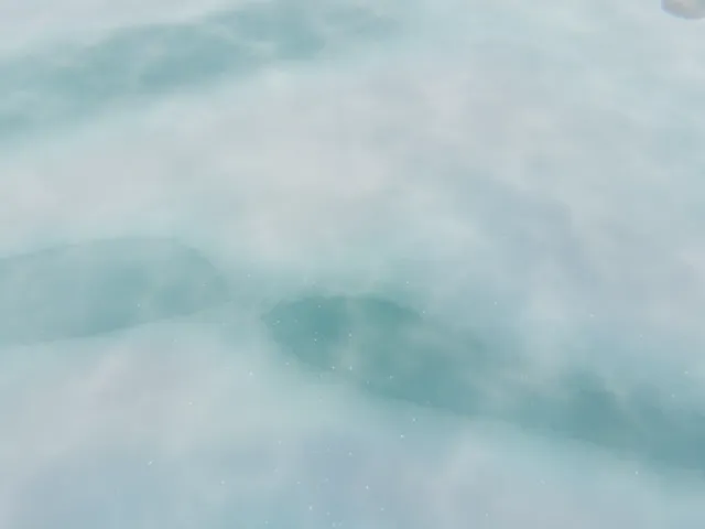 ATW avatar world (snowfall)