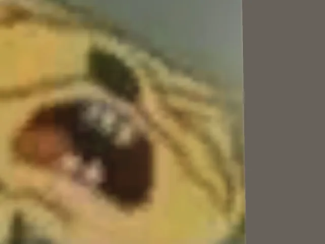 Fem Pyro's Avatar World