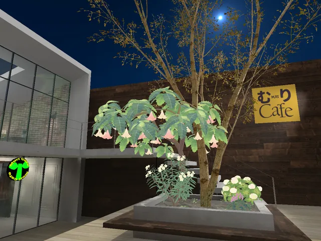 むりCafe1号店 -Muri Cafe- （夜）