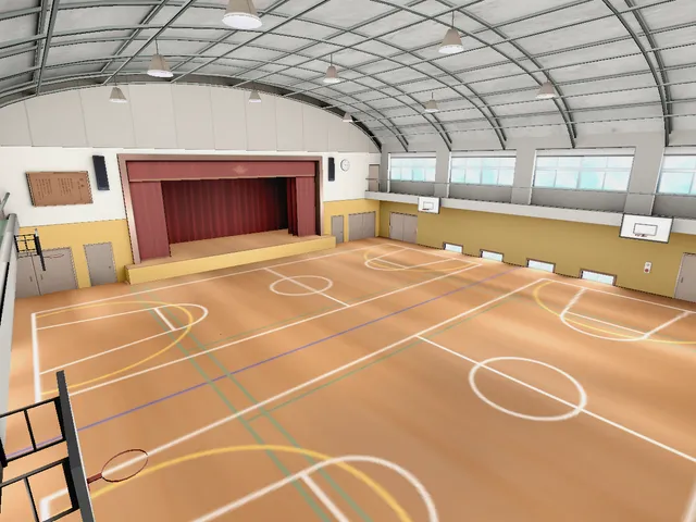 ~ A School Gym ~
