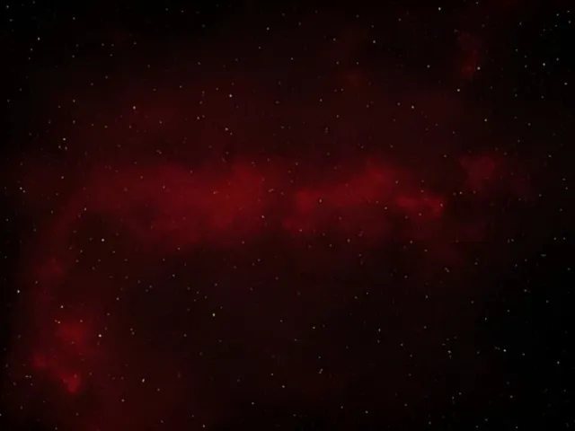 The Crimson Forest