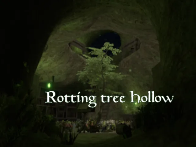 朽ち木のうろ穴 ⁄ Rotting tree Hollow