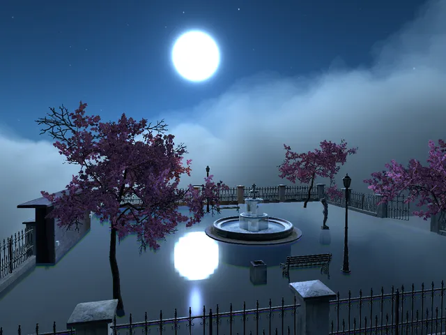Sky Park