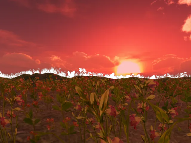 Sleepys and Rileys Garden