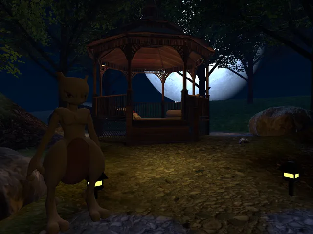 Pokemon Hangout and Sleep