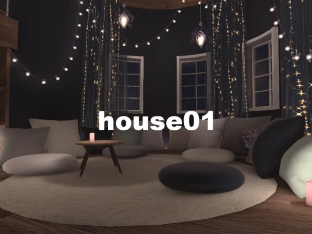 house01
