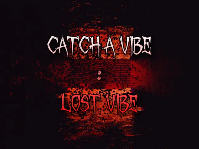 Catch a Vibe ˸ Lost vibe