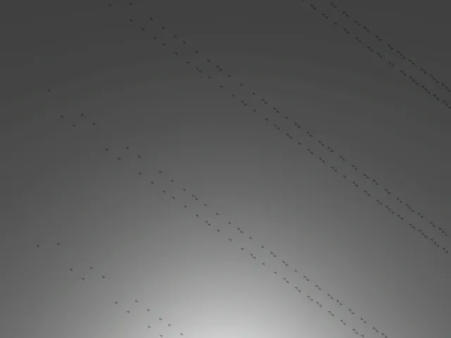 ＂Work in progress＂ Spider-Society