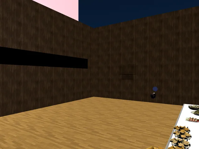 サーシャのお誕生日会会場