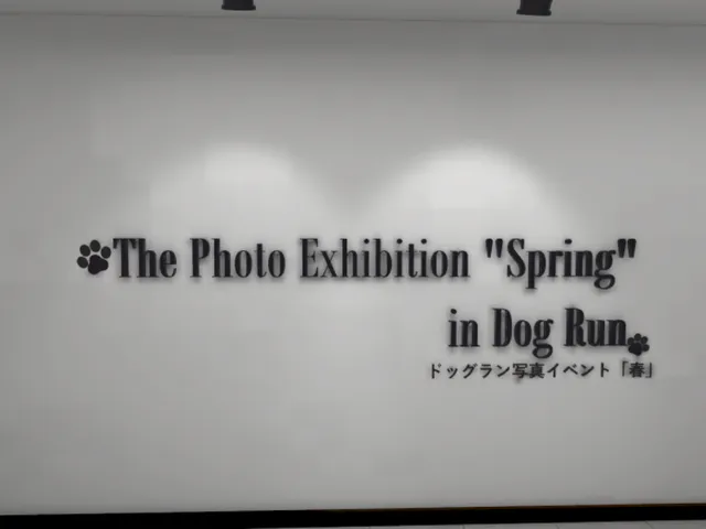 写真イベント「春」