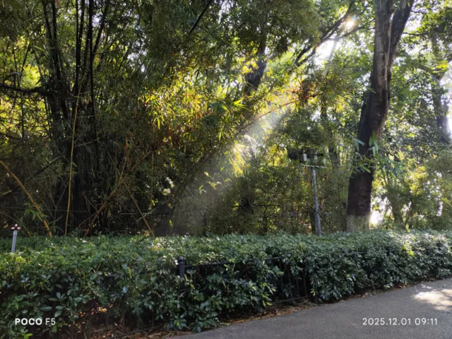 Gallery - 25․12 厦门