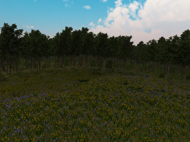 Quiet Forest