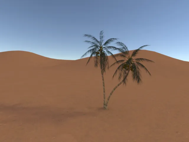 The Sahara Desert