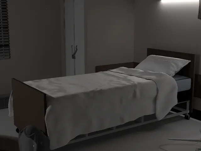 just a hospital bed