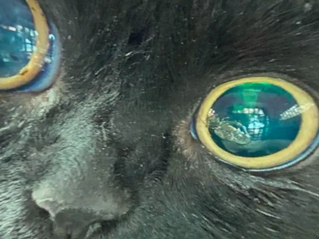 Public Faucet Adventure