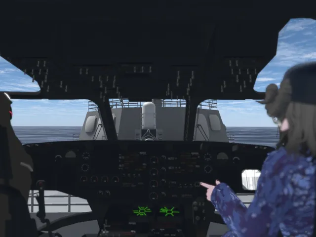 荒天時発着艦訓練